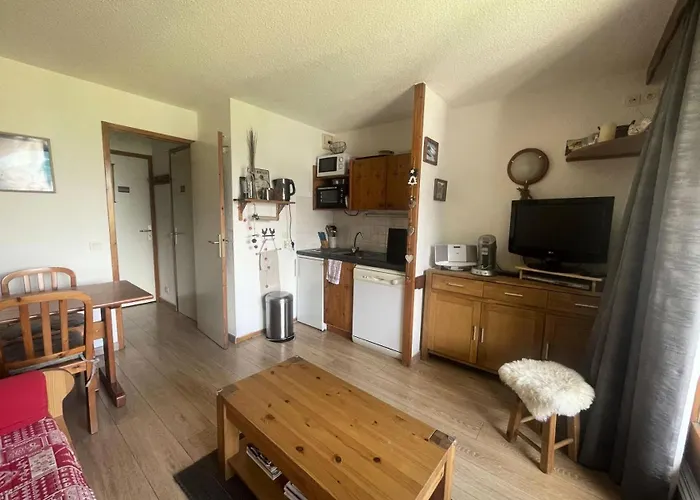 Soleil - Coquet T2 Avec Magnifique Vue Proche Du Telesiege Super Venosc Mae-8091 * 莱德萨阿尔卑斯